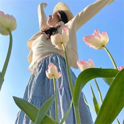 帝国时代 上