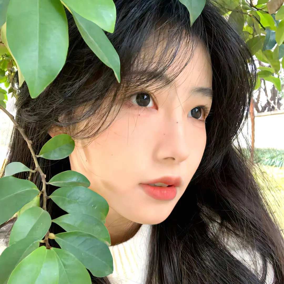 斯嘉丽小姐和公爵第三季
